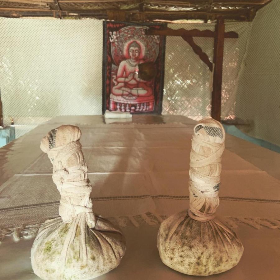 Green Garden Ayurvedic Resort & Green House Varkala Bagian luar foto
