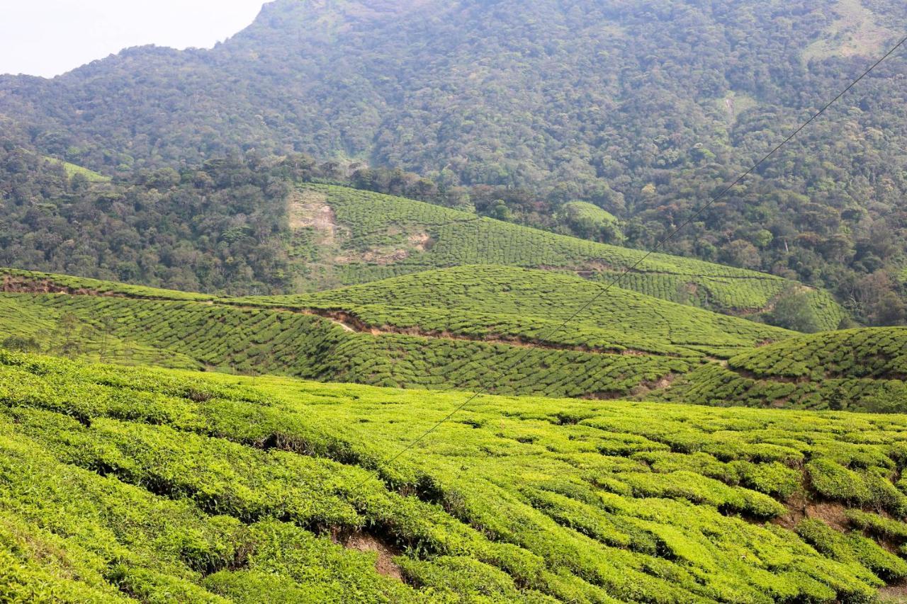 Green Garden Ayurvedic Resort & Green House Varkala Bagian luar foto