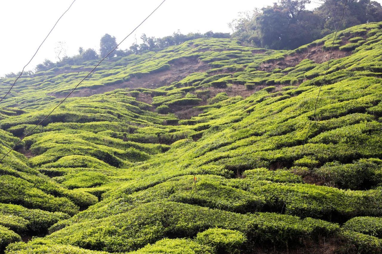 Green Garden Ayurvedic Resort & Green House Varkala Bagian luar foto